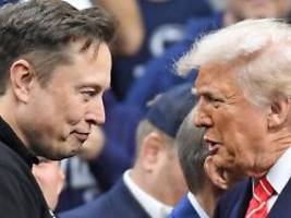 America Party des Superreichen: Musks politische Drohungen an Trump zeigen die Lücke im System