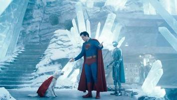 „Superman“ ist auf den Hund gekommen