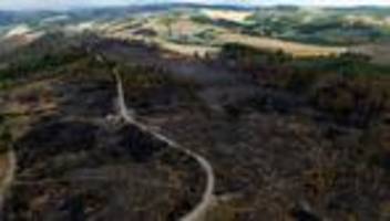 brandschutz: naturschützer: dichtes wegenetz erhöht waldbrandgefahr