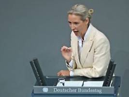 Syrer, Iraker, Afghanen: Weidels Rede war selbst für AfD-Verhältnisse übel