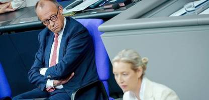 Friedrich Merz im Bundestag: Auf Konfrontation zur AfD