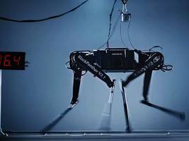 roboter: fast so schnell wie usain bolt!
