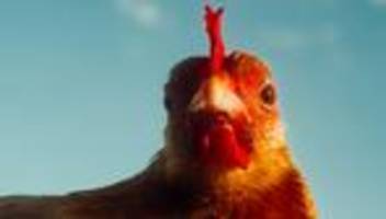 Aktienmarkt: Die Börse hält Trump für ein feiges Huhn. Genau das ist das Problem
