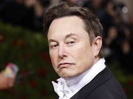 Treue Streiter mit Einfluss?: Musk hat trojanisches Pferd in Trumps Regierung platziert