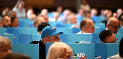 Deutschland: Bundesländer wollen AfD-Mitglieder aus Staatsdienst drängen