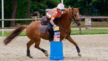 pferdesport: in neuengamme gibt es erstmals die „mounted games“