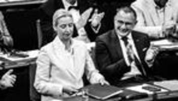 afd-benimmregeln: hetze mit etikette?