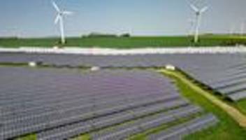 photovoltaik-anlagen: grüne: wald nicht mehr für solaranlagen opfern