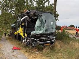 Sechs Menschen verletzt: Reisebus mit Senioren fährt in Baumgruppe