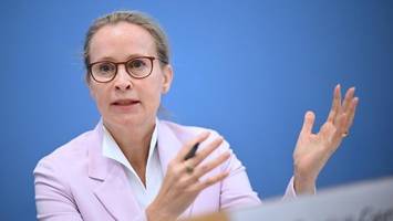 Medien: Union will SPD-Kandidatin Brosius-Gersdorf verhindern