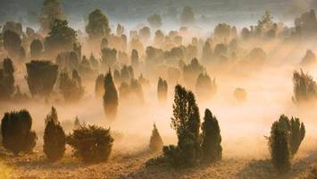 So schön ist die Lüneburger Heide: 7 Orte fürs perfekte Foto