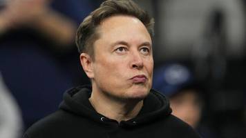 Streit mit Donald Trump: Eine neue Partei kann nicht mal Elon Musk gründen. Oder doch?