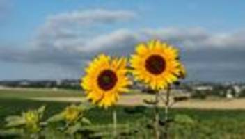 wetter: regnerischer wochenstart nach heiteren sommertagen
