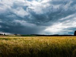 Wochenende lockt mit Sonne: Unbeständige Gewitterwoche im Anmarsch