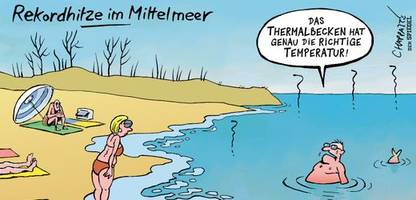 Cartoons der Woche von Chappatte, Thomas Plaßmann, Klaus Stuttmann