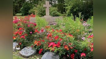 friedhof: diese zehn arten gibt es, sich bestatten zu lassen