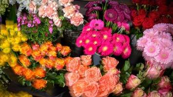 schnittblumen: experten warnen vor „pestizide-cocktail“