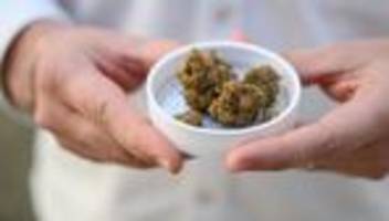 Medizinalcannabis: Warken plant strengere Regeln für Abgabe von medizinischem Cannabis