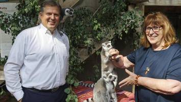 tierpark hagenbeck: beliebte aktionen für besucher bedroht