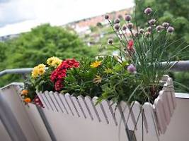 Gerichtsstreit um den Balkon: Blumenkästen nur noch innen - kann das vorgeschrieben werden?
