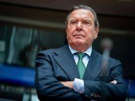 aber nur unter bedingungen: schröder will zu nord stream 2 aussagen