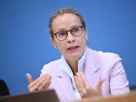 Gutachten selbst beauftragt: Kanzlei: Plagiatsvorwürfe gegen Brosius-Gersdof unbegründet