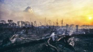 klimawandel: „unsere städte bekommen ein verfallsdatum“