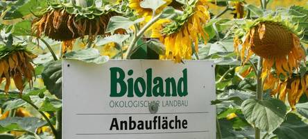 20 prozent Öko-anbauflächen: bayern scheitert mit seinen bio-zielen