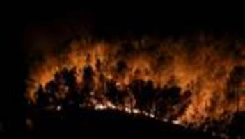 frankreich: feuerwehr bekämpft großen waldbrand bei marseille