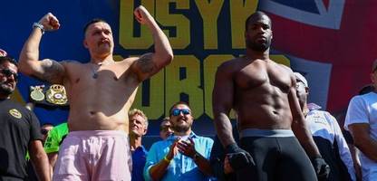 boxen - daniel dubois kämpft gegen oleksandr ussyk: das schwergewicht aller boxkämpfe