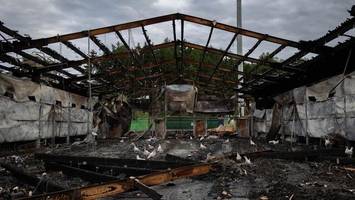 tierschützer entsetzt: hühner verenden qualvoll in brandruine