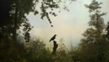 altersdepression bei männern: sind sie mit depression im alter konfrontiert?