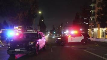 Autofahrer rast in Menschenmenge – 28 Verletzte in Hollywood