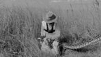 schlangen in den everglades: unterwegs mit zwei frauen, die riesenpythons fangen