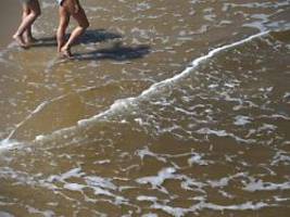 In Nord- und Ostsee: Vibrionen-Gefahr steigt durch Sommerhitze