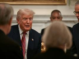 us-politik: donald trumps netz