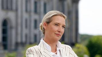 weidel-interview: aktivisten sprechen von „verschönerungsaktion“
