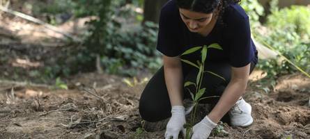 Plant-for-the-Planet: Wie ein Verein für seinen Ruf kämpft