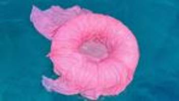 Floaties: Sind wir nicht alle Wasseraffen?