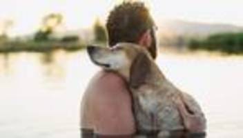 Tierfotografie: Ciao, Maddie