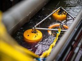 Schiffskollision in Cuxhaven: Tausende Liter Öl laufen nach Unfall in Hafenbecken