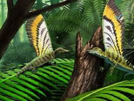 Zeigt Potenzial der Evolution: Wundersaurier mit seltsamer Feder-Alternative entdeckt