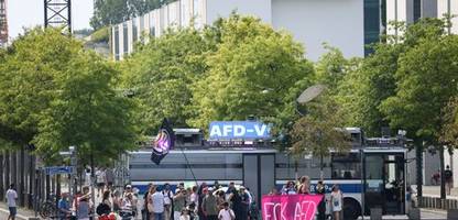 alice weidel im ard-sommerinterview: der bus, der die afd verfolgt