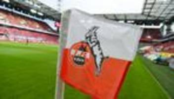 fußball-bundesliga: 1. fc köln setzt auf football: kooperation mit detroit lions