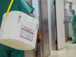 Organspende: Und dann schlägt das Herz doch noch