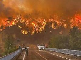 Zwei Tote auf Zypern: Waldbrände halten Mittelmeerraum in Atem