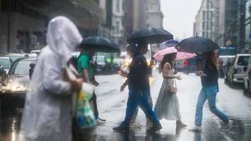 Regen statt Sommer in Berlin – doch ein Tag macht Hoffnung