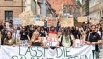 demonstration: protest gegen pavian-tötung - schande für tierschutz