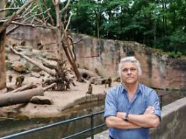 Auch uns fasst das an: Warum will der Nürnberger Zoo Paviane töten?