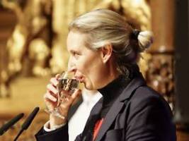satire ist satire!: el hotzo, alice weidel und kurt tucholsky gehen in eine bar